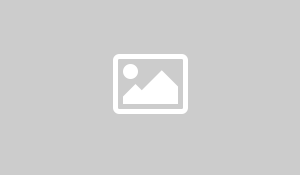 solax-power-company-logo.jpg